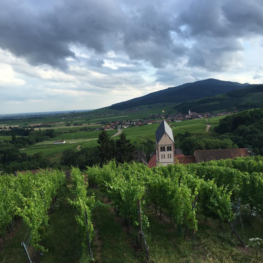 Gite Fleur De Vignes Itterswiller Luaran gambar