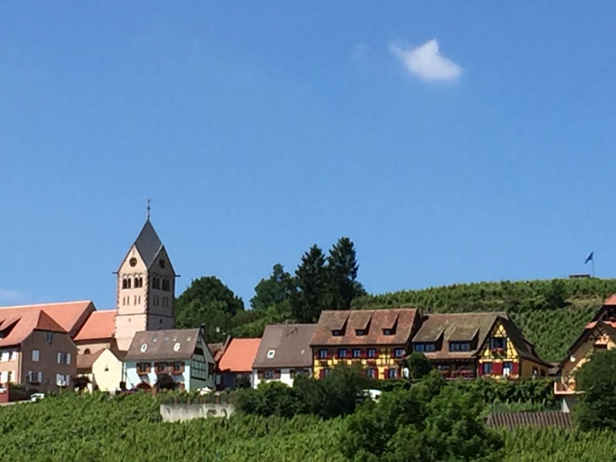Gite Fleur De Vignes Itterswiller Luaran gambar